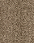 Picture of الفا بني - 401