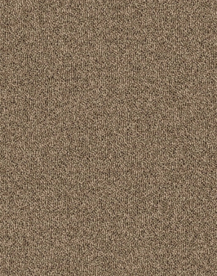 Picture of الفا بني - 401