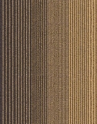 Picture of اتلانتا بني -  PL812-01 