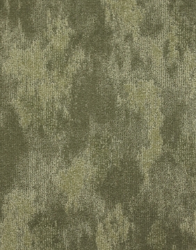 صورة تامبا اخضر - 01