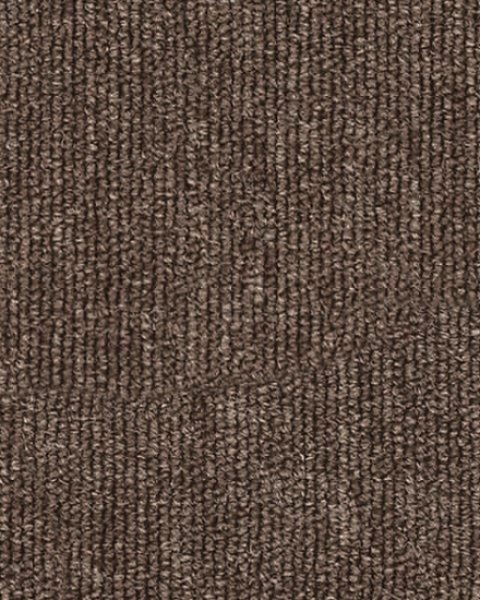 Picture of  كنج بني - XN01