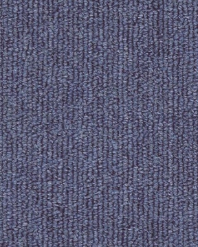 صورة XN09 - كنج أزرق فاتح