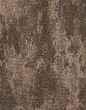 صورة تامبا بني غامق - 03