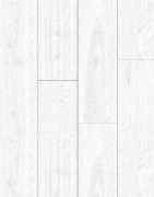 Picture of BD-2310 - XIN4-10 شرائح اس بي سي