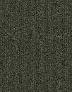 Picture of الفا  - 601