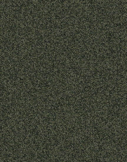 Picture of الفا  - 601