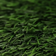 Picture of انجيلا F2506C