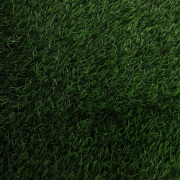 Picture of انجيلا F2506C