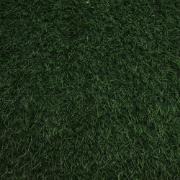 Picture of انجيلا F3024G