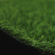 Picture of انجيلا F3025G