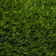 Picture of انجيلا F3015C