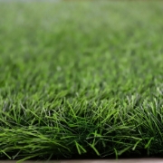Picture of انجيلا F5026S
