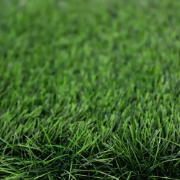 Picture of انجيلا F5026S