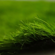 Picture of انجيلا  F5027G