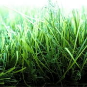Picture of انجيلا F5023S