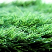 Picture of انجيلا F5023S