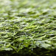 Picture of انجيلا F5025G