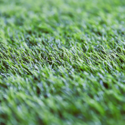 Picture of انجيلا F4035B