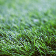 Picture of انجيلا F4035B