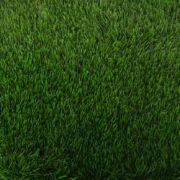 Picture of انجيلا F3023G