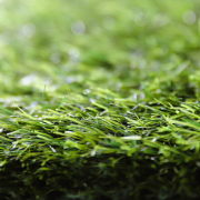 Picture of انجيلا F3023G