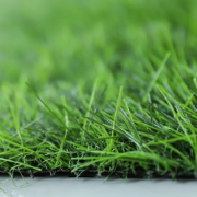 Picture of انجيلا F4034B