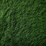 Picture of انجيلا F4034B