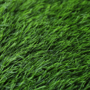 Picture of انجيلا F5025G