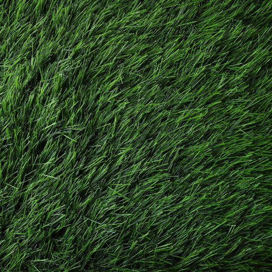 Picture of انجيلا F5025G