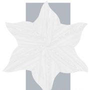 Picture of HDF LAMINATE FLOORING -  J414