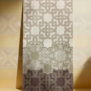 Picture of البركة بني