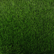 Picture of انجيلا F3023G