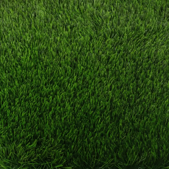 Picture of انجيلا F3023G