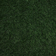 Picture of انجيلا F3024G