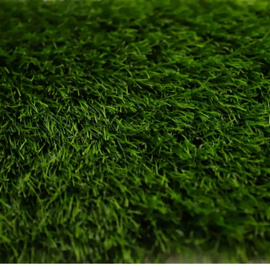 Picture of انجيلا F5020W