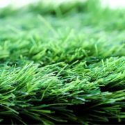 Picture of انجيلا F5023S