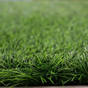 Picture of انجيلا F5026S