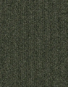 Picture of الفا  - 601