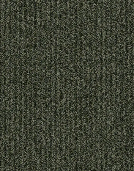 Picture of الفا  - 601