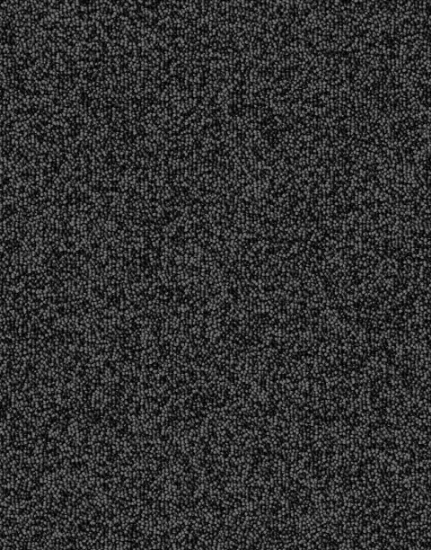 Picture of الفا اسود - 702